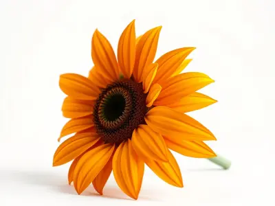 Orange Sunflower Lifelike 3D Model Pack Low-poly 3D model