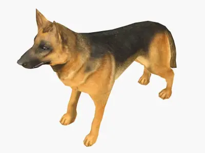 German Shepherd Low-poly 3D model