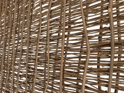 Ceiling wicker branch crooked 3D model