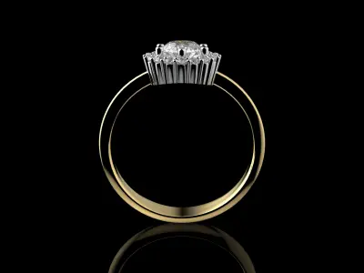 Gold N1345 3D print model