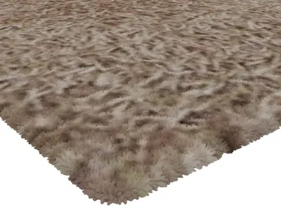 Rug Set 1030 3D model