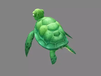 Cartoon Green Turtle Low-poly 3D model purchase