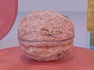 Walnut fruit 05 high-poly 3D model