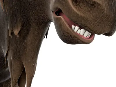 Moose cartoon 3D model