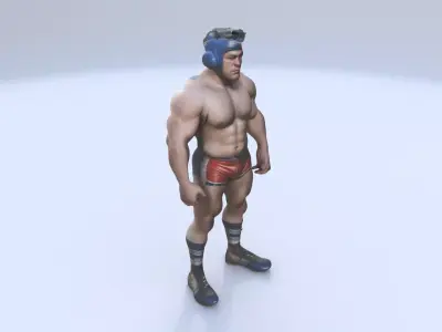 Wrestling 3D model