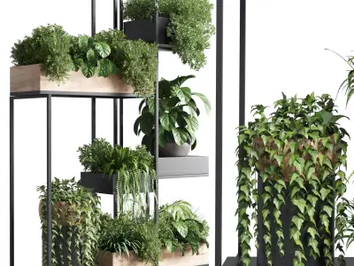 stand plant box collection Indoor plant  wooden and metal vase 3D model