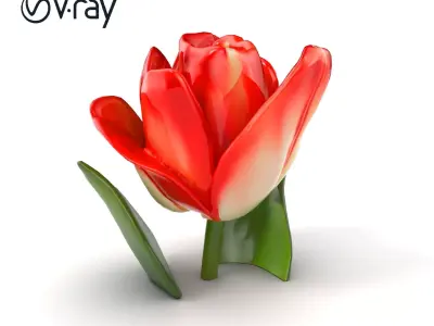 Tulipa Bicolor Blooming Elegance model pack Low-poly 3D model