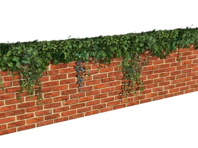 Ivy wall  Low-poly 3D model