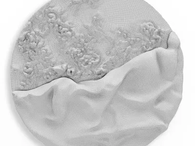 Paola Romano  Luna Evolutiva Wall Art 3D model