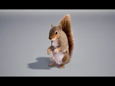 Squirrel Rig UNREAL project  Maya base rig 3D model