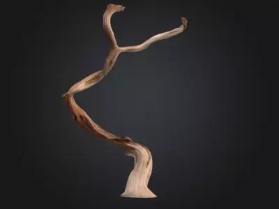 Twisting Elegance Wood Low-poly 3D model