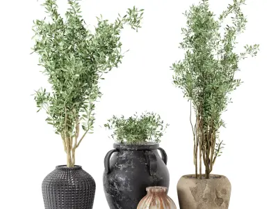 Outdoor Plants tree in rusty Concrete Pot  Set 1 3D model