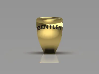 man gold ring mr0071 3D print model