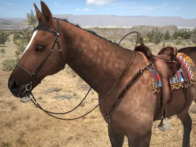 Cowboy Horse with saddle 3D model