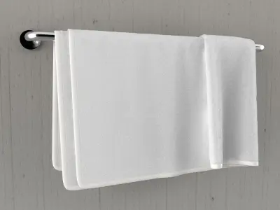 Hanging Towels 3 3D model