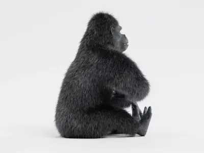 -Western Lowland Gorilla Rigged- 3D model