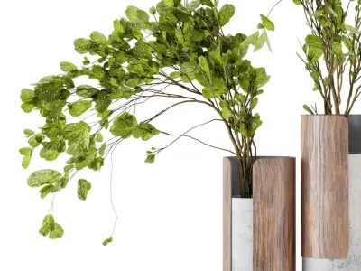 Indoor Plants in Combination of wood  concrete vase  3D model