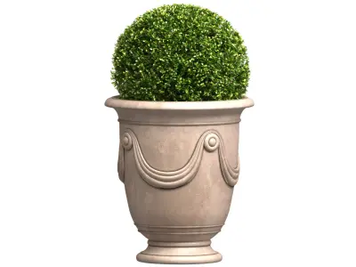 Boxwood in a Classic French Pot Front Entry Tree Patio Porch  3D model