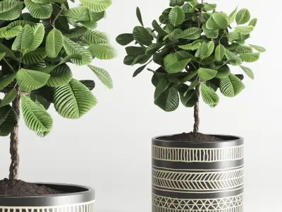 collection Indoor plant 55 vase handmade pottery plant grass pot 3D model