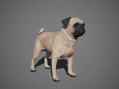 Pug Real-Time Low-poly 3D model