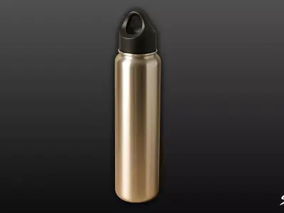 Stainless Steel Water Bottle Low-poly 3D model