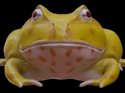 Frog Yellow 3D model
