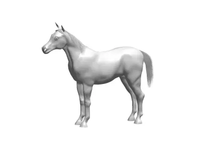 horse 3D model 14