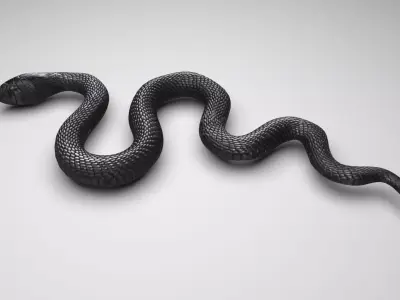 Snake 3D model