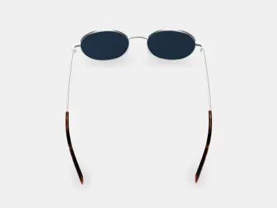 Merrick Sunglasses in Polished Silver 3D model