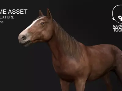 Game Asset PBR Texture 2 version horse Low-poly 3D model