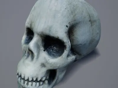 Skull Photoscanned Game Ready Free low-poly 3D model