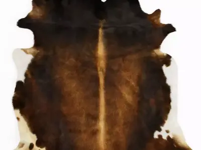 Cowhide Rug Europe Dark Brown 3D model