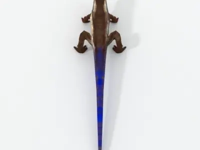 Scratched Skink Low-poly 3D model