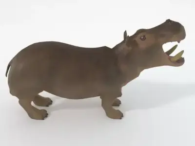 Hippopotamus Low-poly 3D model purchase