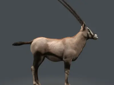 Oryx Antelope Low Poly  Low-poly 3D model
