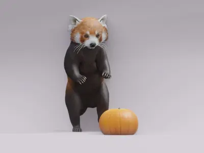 RedPanda animated 3D 3D model