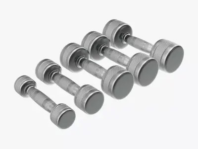 Dumbbell set chrome 3D model