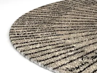 Rays Carpet 3D model