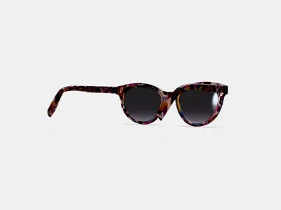 Raina Sunglasses in Confetti Tortoise 3D model