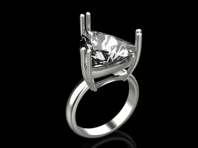 Ring 80028 3D print model