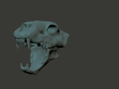 lion skull  3D model