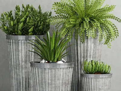 Decorative plant set-43 3D model