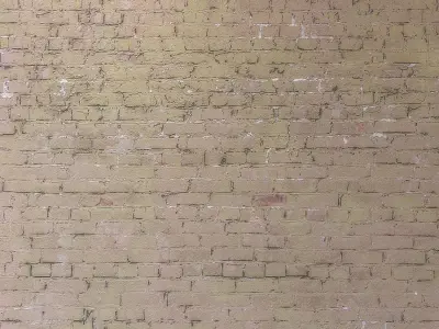 stucco 537 Texture