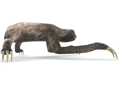 Sloth with claws Low-poly 3D model