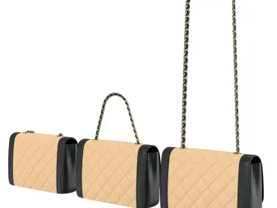 Vintage Medium Diana Flap Bag Black Cream  Low-poly 3D model
