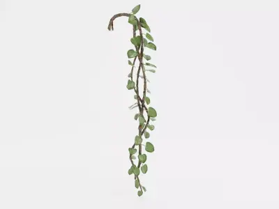 -Liana Plant V1- 3D model