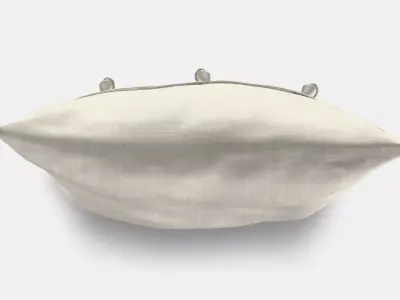 AINA Cushion cover 2 3D model