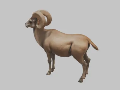 Ram Goat Low-poly 3D model