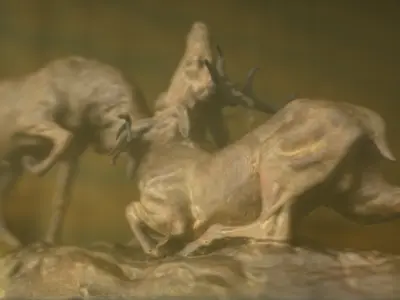 Deer Fight Low-poly 3D model