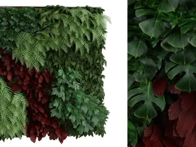 Large Plant Wall 01 Free 3D model